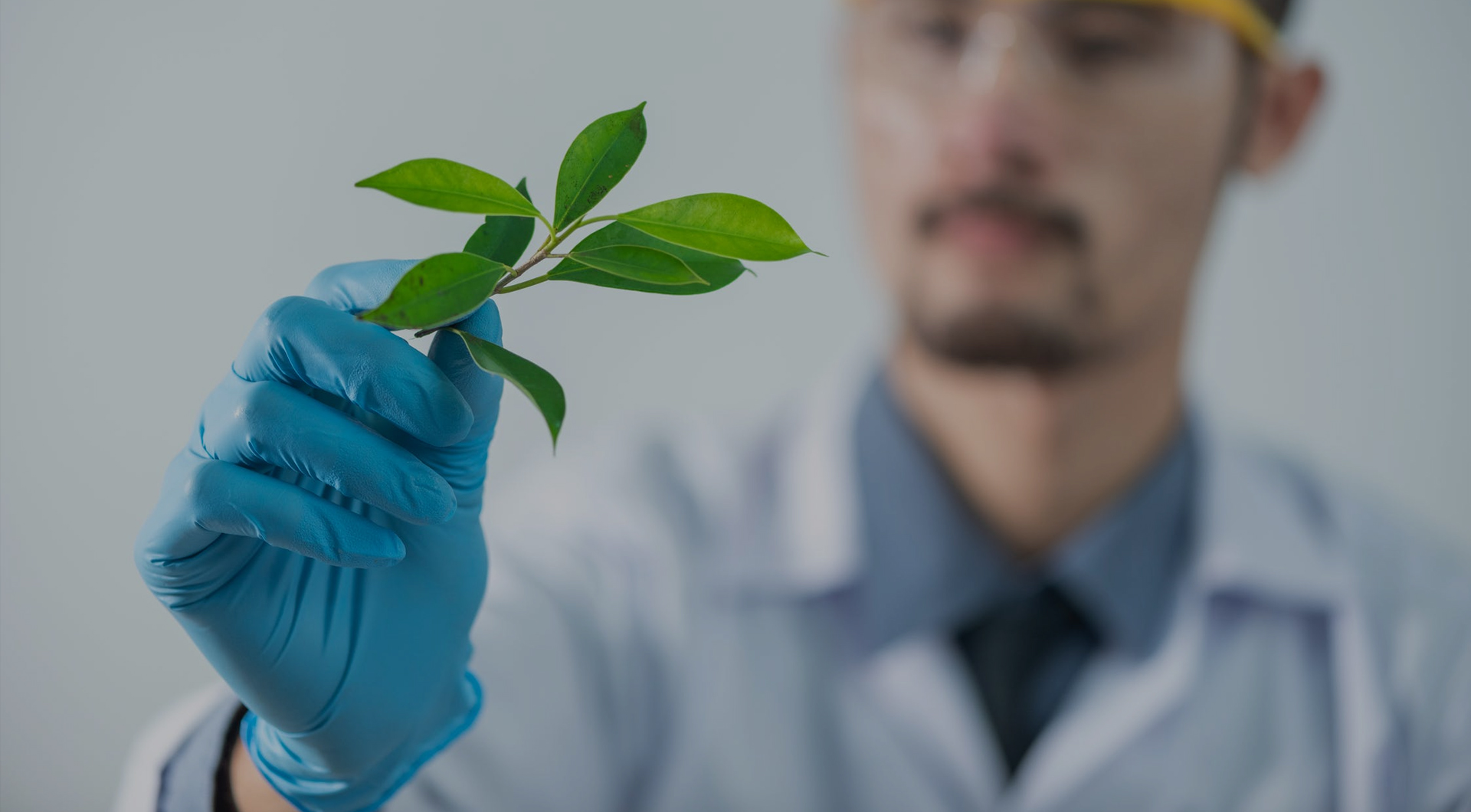 AGGAME·(中国区)集团官方网站