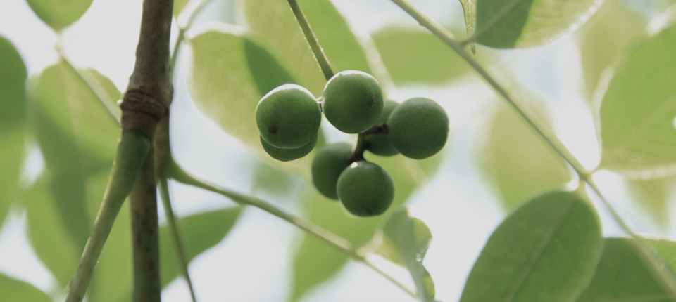 AGGAME·(中国区)集团官方网站