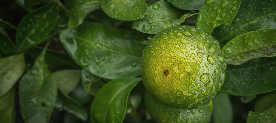 AGGAME·(中国区)集团官方网站